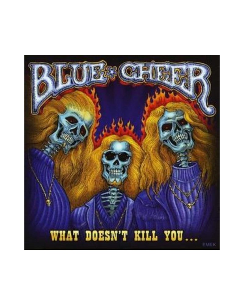 Blue Cheer CD - What Doesn't Kill You $8.42 CD