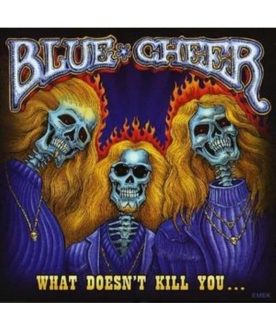 Blue Cheer CD - What Doesn't Kill You $8.42 CD