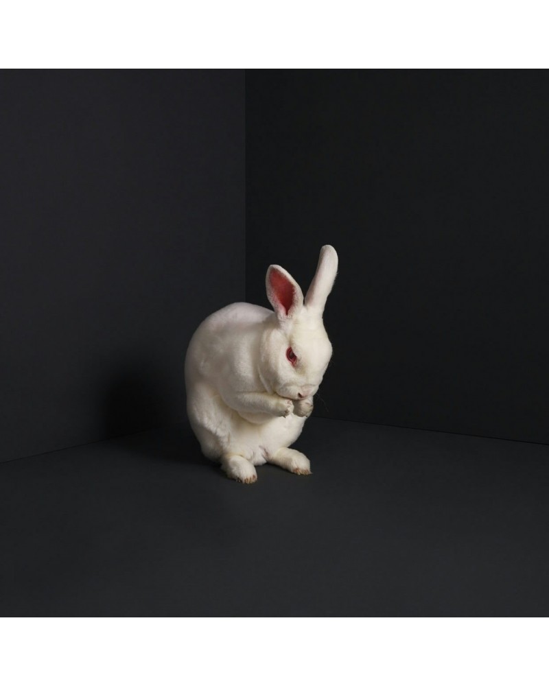 Brume LP - Rabbits (Vinyl) $22.08 Vinyl