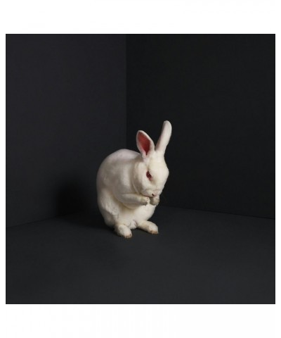 Brume LP - Rabbits (Vinyl) $22.08 Vinyl